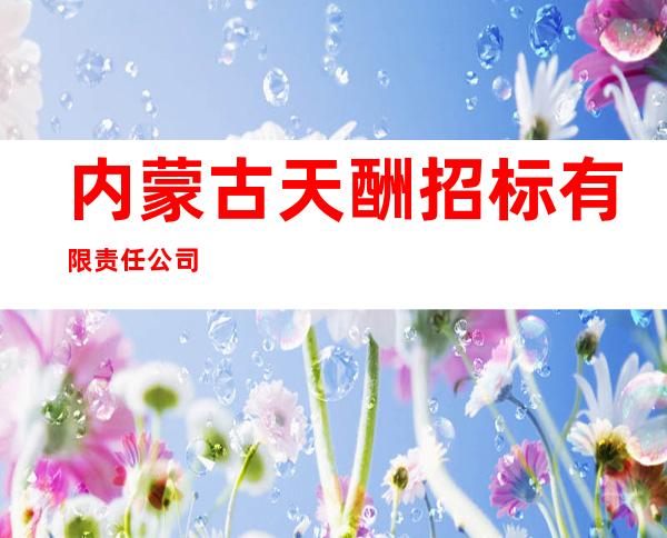 内蒙古天酬招标有限责任公司