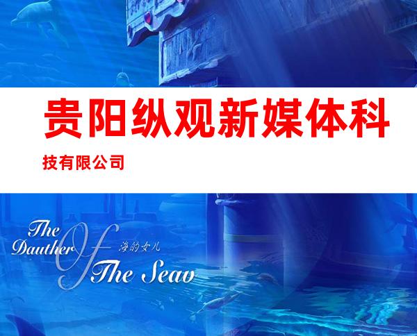 贵阳纵观新媒体科技有限公司